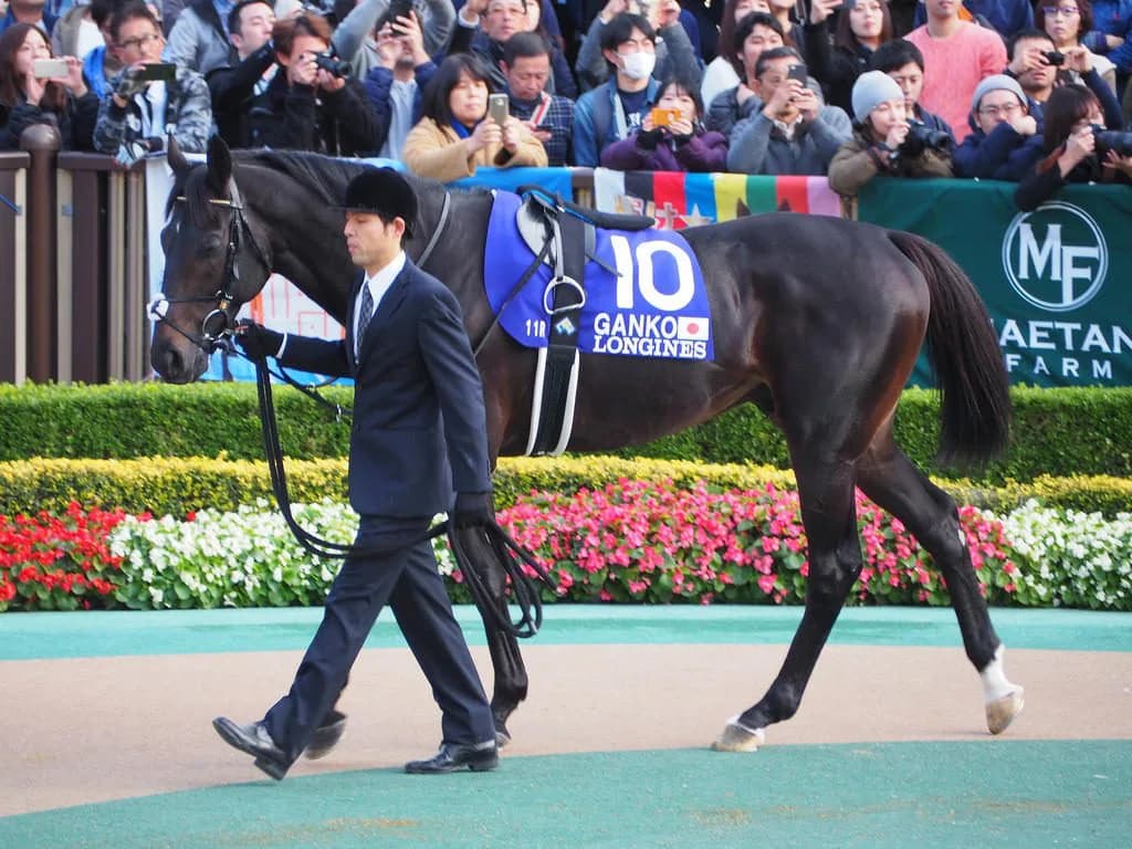 【日経新春杯2019予想】時計のかかる馬場ならガンコ