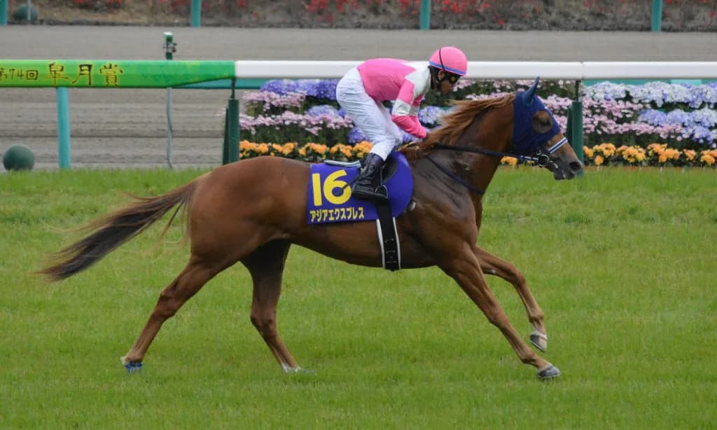 芝・ダート兼用期待で200頭以上の繁殖牝馬を集めたアジアエクスプレス