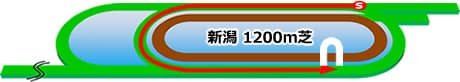 新潟競馬場 芝1200m