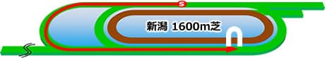 新潟競馬場 芝1600m