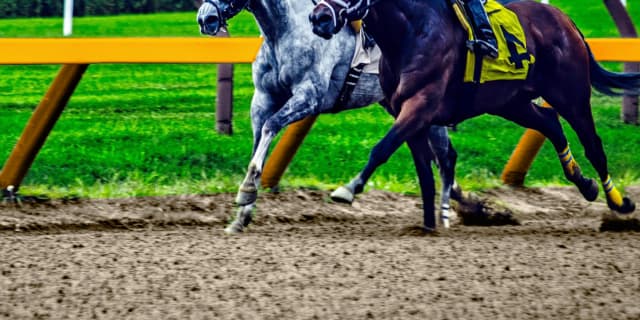 【宝塚記念2019予想】1週前追い切り・出走予定馬考察