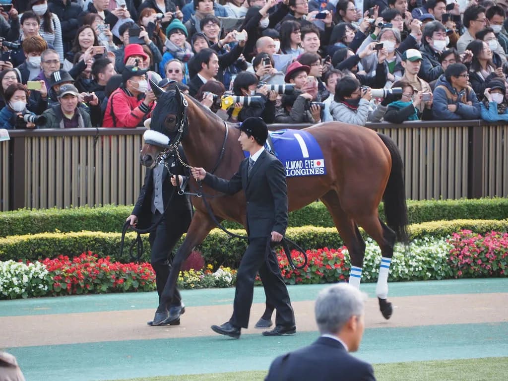 JRA年度代表馬アーモンドアイ、ドバイターフへ。英ブックメーカーで1番人気に