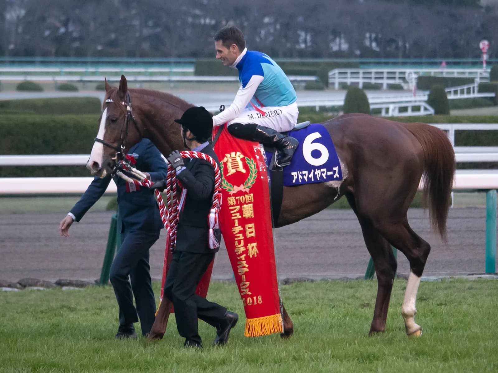 【共同通信杯2019予想】JRA2歳王者アドマイヤマーズ、人気でも逆らえない