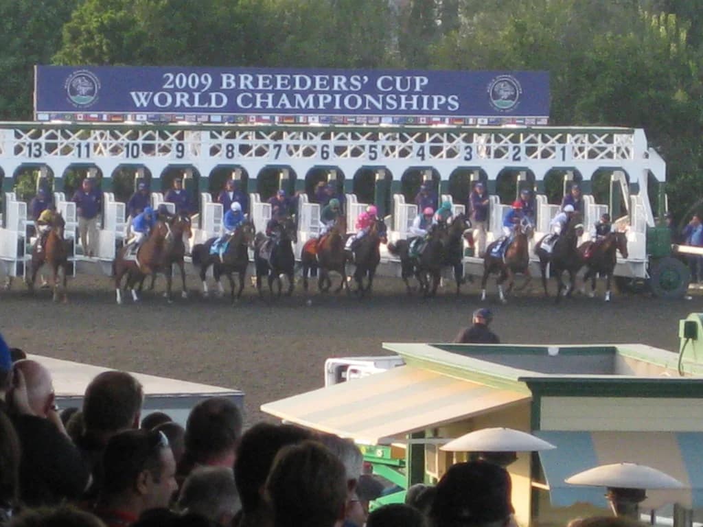 フェブラリーS勝ち馬インティ、BCクラシック参戦へ意欲