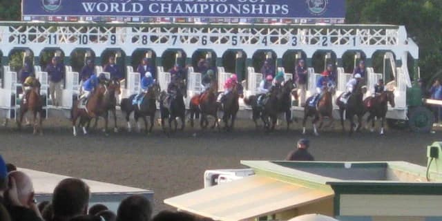 フェブラリーS勝ち馬インティ、BCクラシック参戦へ意欲