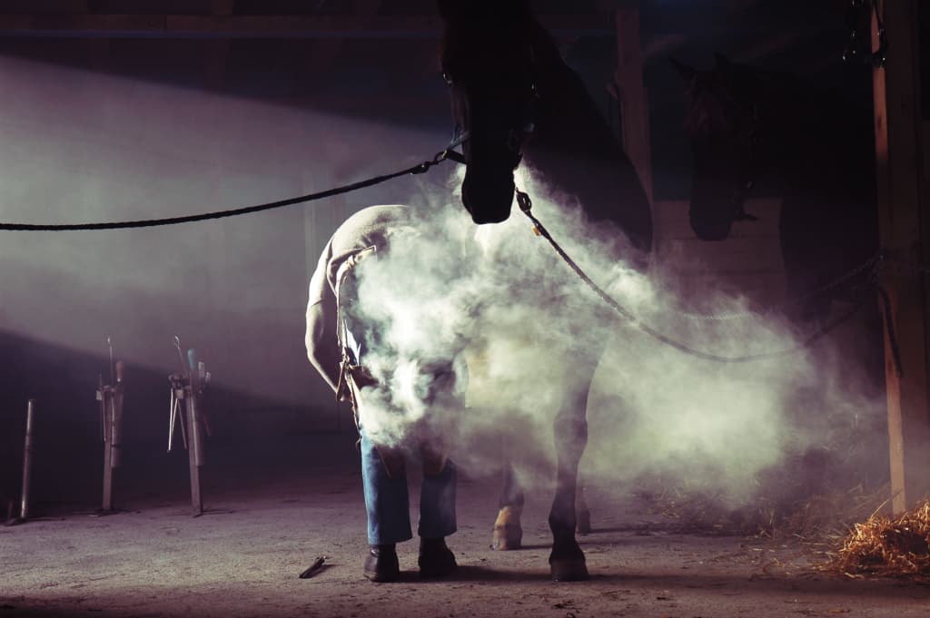 【共同通信杯2019予想】変わり身期待の穴馬、マードレヴォイス