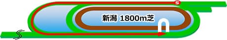 新潟競馬場 芝1800m
