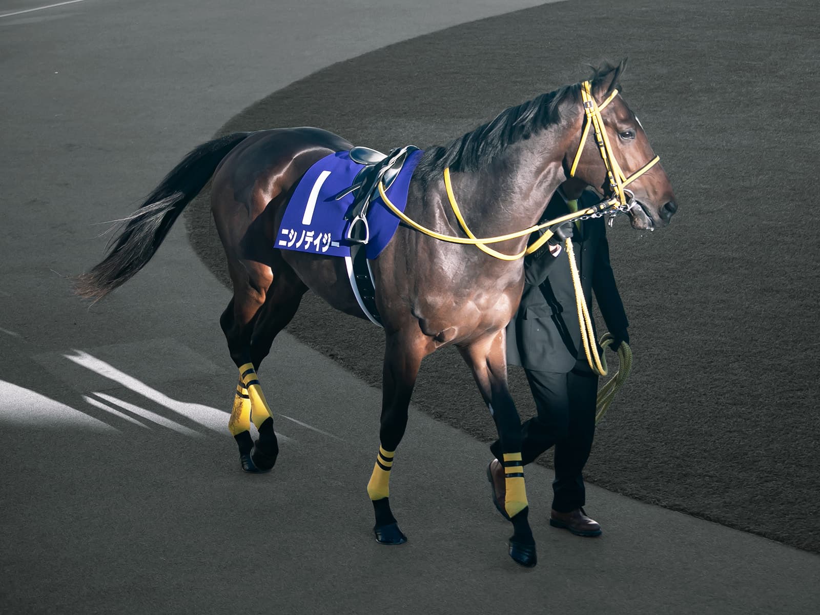 【弥生賞2019予想】ニシノデイジーは危険な人気馬か?追い切りは掛かり気味、逃げる可能性も?