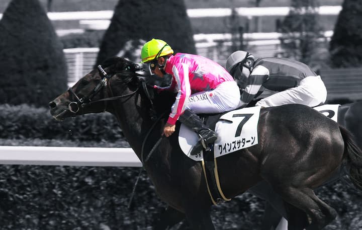 【フェブラリーS予想2019】荒れるなら東京巧者の人気薄