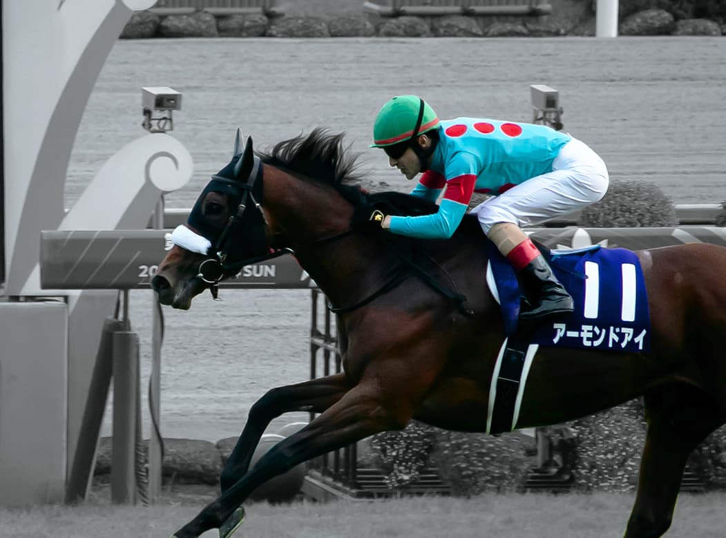 【天皇賞秋予想】アーモンドアイ中心、相手選びの一戦か