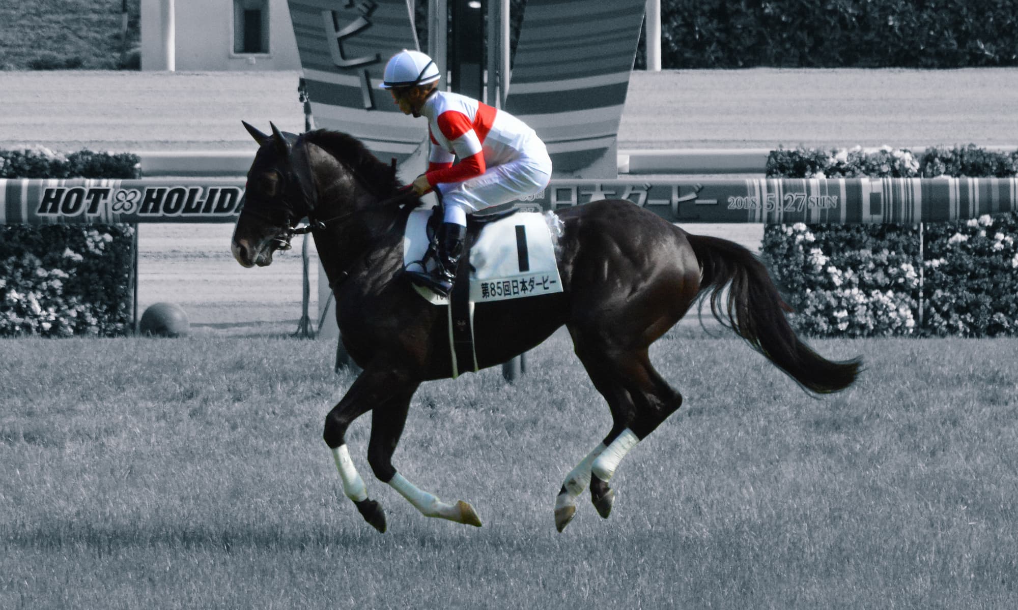 G1馬ダノンプレミアムが引退、種牡馬へ