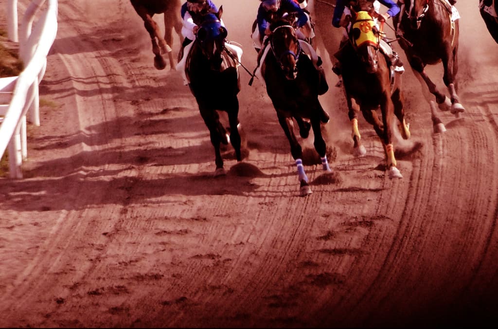 【羅生門ステークス2024予想】先行激化気配なら狙いは追い込み馬か?