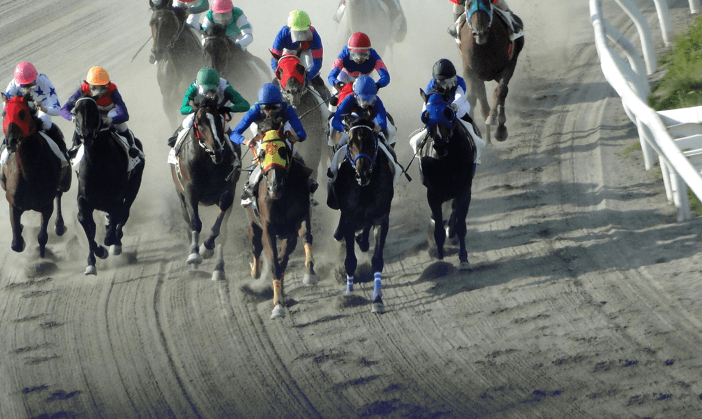 【JRA70周年記念アニバーサリーS予想2024】コルドンルージュやヘニータイフーンなど前走好走馬が集結!