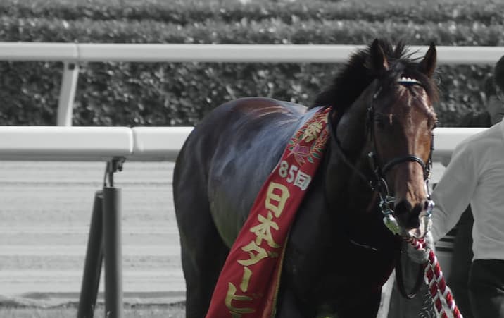 ワグネリアン、復帰は夏以降