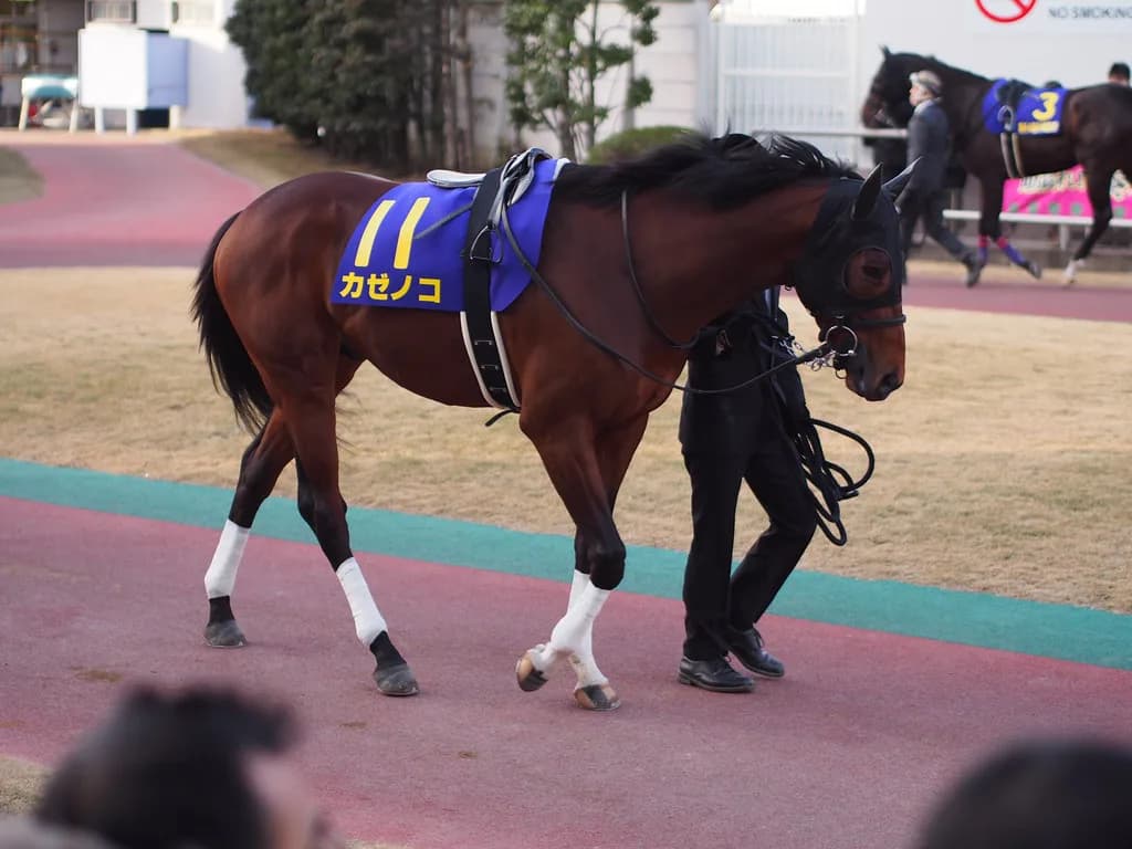 【アンタレスS予想2019】カゼノコ、5年ぶり勝利となるか