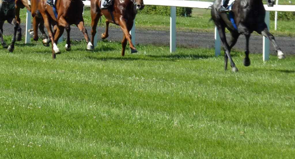 【韋駄天S予想2019】ライオンボス、直千のヒーローへ