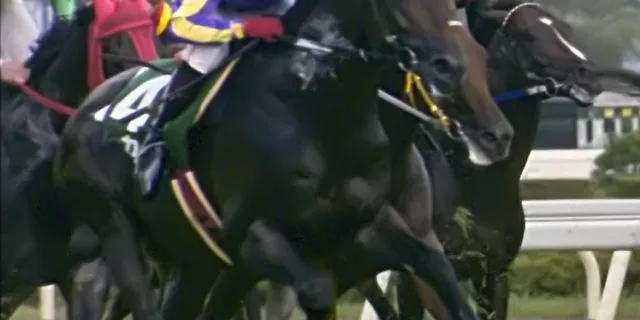 平成の名ジャンパー・ゴーカイ、26歳で老衰で亡くなる