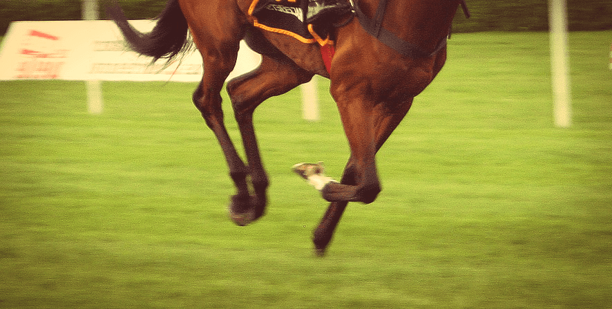 【京都新聞杯2021予想】エフフォーリアに一番迫ったエスコバル、賞金加算へ意欲