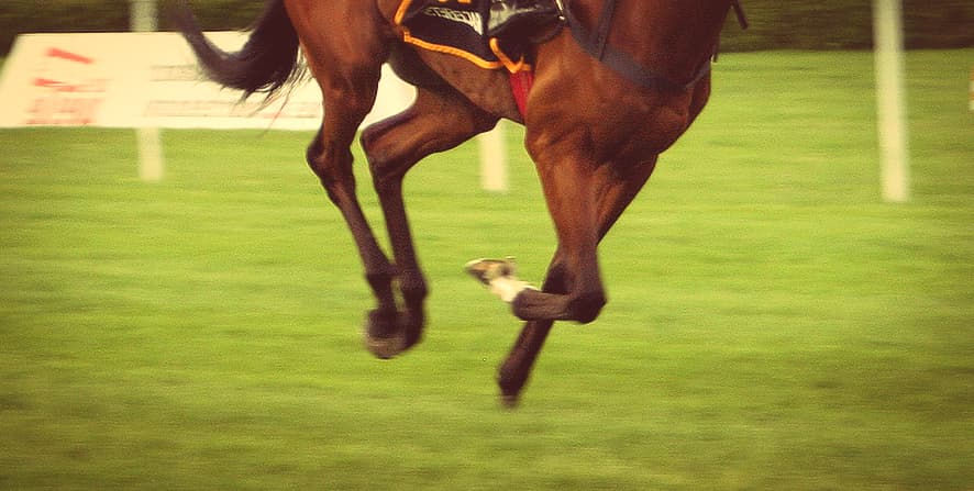 【京都新聞杯2021予想】エフフォーリアに一番迫ったエスコバル、賞金加算へ意欲