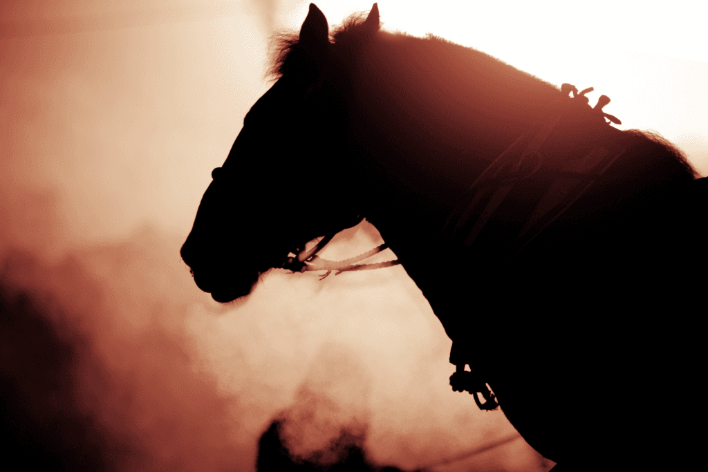 【スワンS予想2024】デビュー戦以来の1400mで復活なるか?伏兵ピンハイに要注意