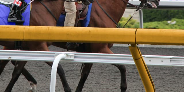【安田記念2024】1週前追い切り・調教内容が高評価の馬トップ3を公開
