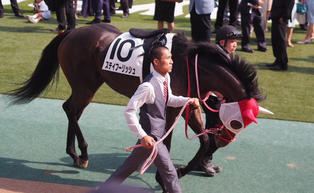 【鳴尾記念2019予想】宝塚記念への重要ステップ!ステイフーリッシュやギベオンなど出走予定馬を考察
