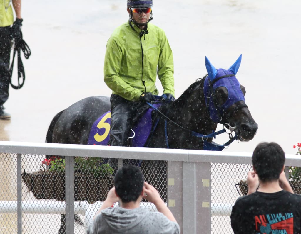 【安田記念2019予想】岩田&サングレーザー、買い時はココ?!