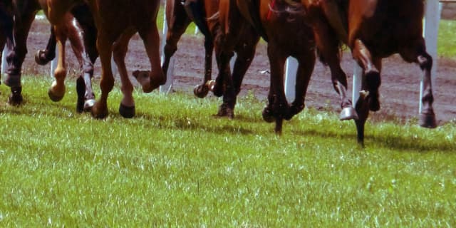 【谷川岳S予想2019】注目の良血、アルーシャ!芝マイルはベストの舞台