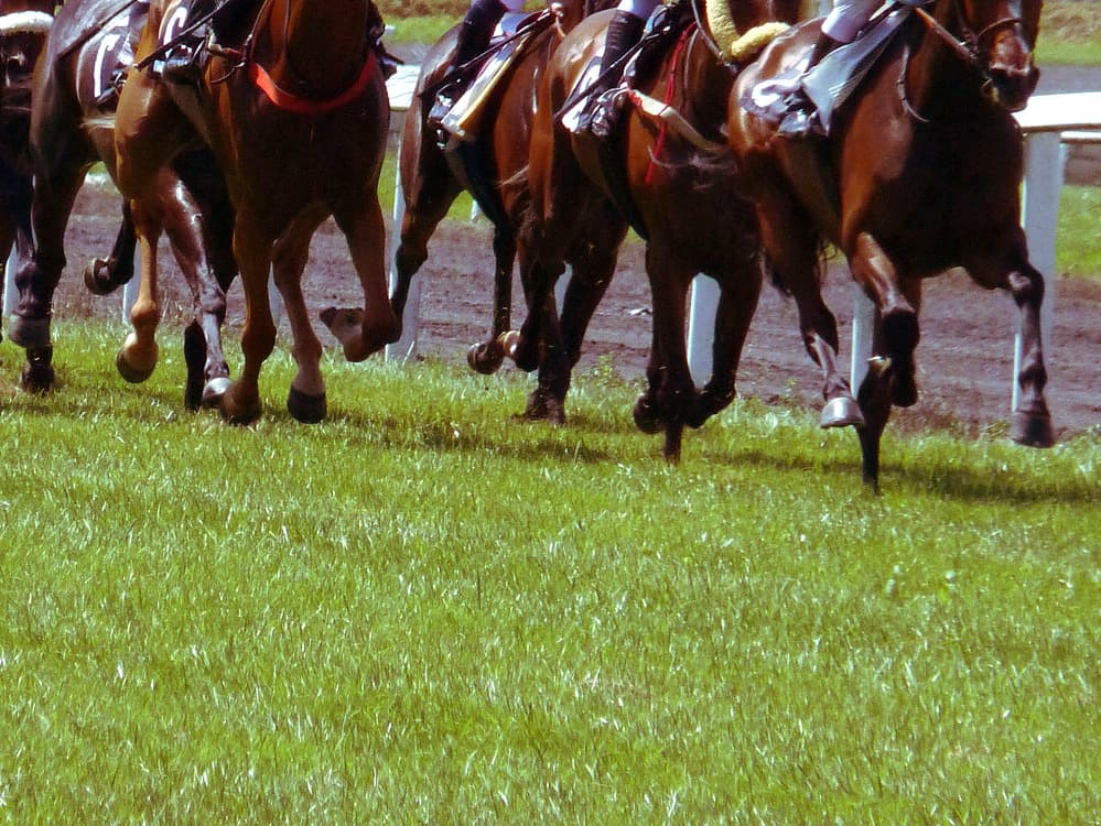 【谷川岳S予想2019】注目の良血、アルーシャ!芝マイルはベストの舞台
