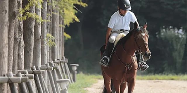 【きさらぎ賞2026予想】ゾロアストロが1週前追い切りで上々の動き、重賞獲りへ視界良好