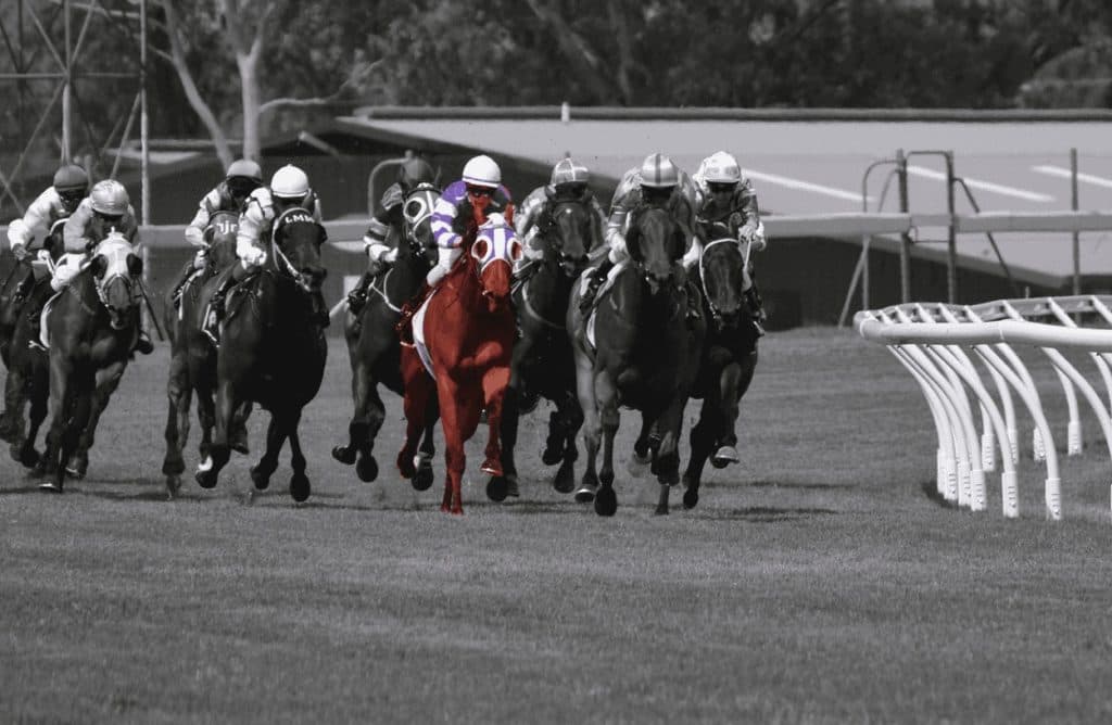 【桂川ステークス予想2024】テイエムリステットvsローズスター再戦!2強に割って入る人気薄の穴馬は?