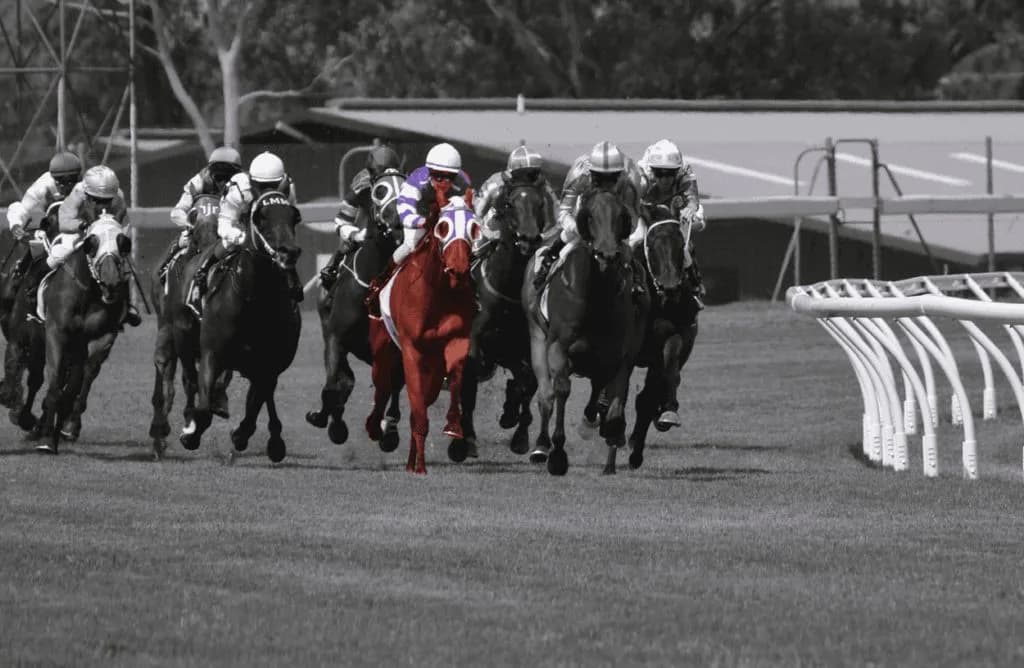 【新潟日報賞2023予想】3歳馬鬼門のハンデ戦!絶好の狙い目の逃げ馬とは?