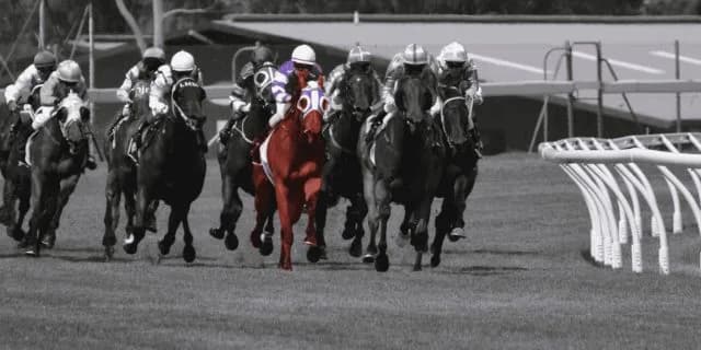 【桂川ステークス予想2024】テイエムリステットvsローズスター再戦!2強に割って入る人気薄の穴馬は?