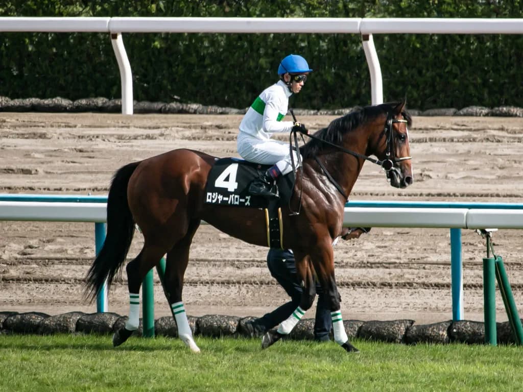 相次ぐ名馬の死。日本の馬産は“戦国時代”突入か?ロジャーバローズ、父ディープの後継種牡馬として期待