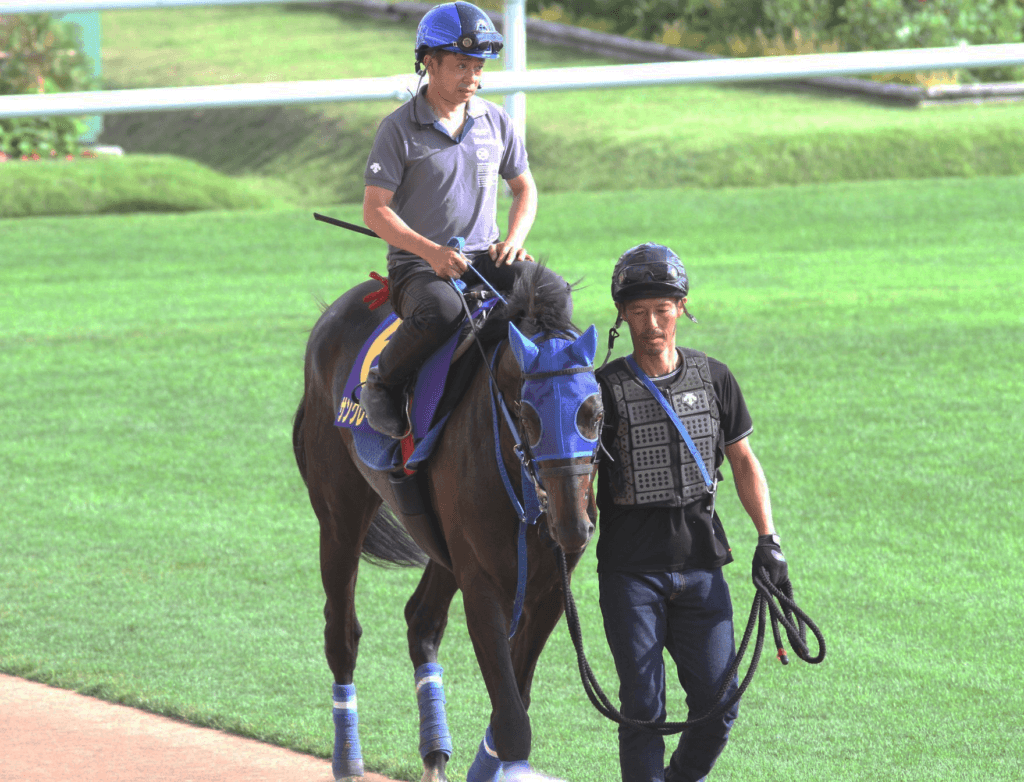JRA重賞3勝のサングレーザーが引退、種牡馬に