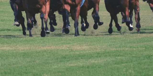 【アメリカJCC予想2022】実績馬の始動戦!オーソクレースやポタジェなど出走予定馬を考察