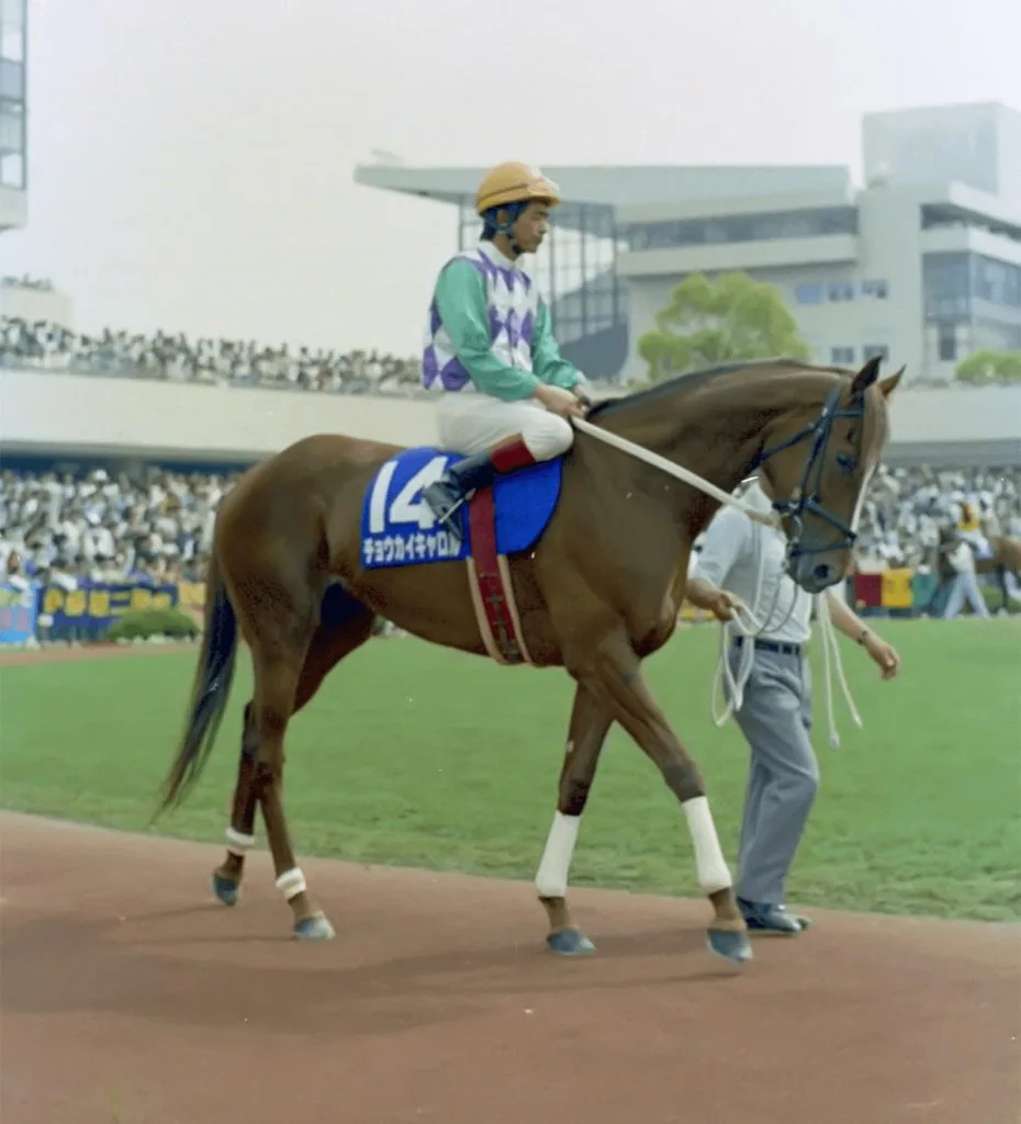 94年のオークス馬、チョウカイキャロルが亡くなる