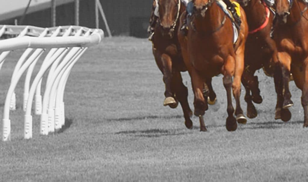 【有馬記念2019予想】ハイペース必至?先行勢が外枠に集中