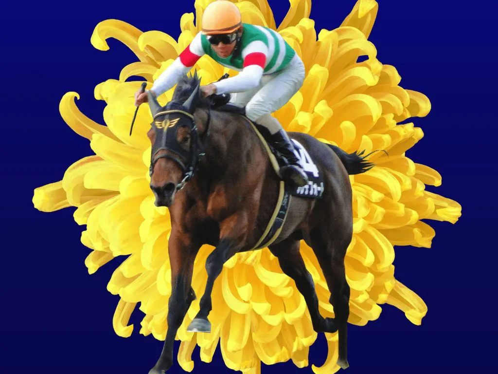 【菊花賞2019予想】最後の1冠はどの馬?ヴェロックスやワールドプレミアなど出走予定馬を考察