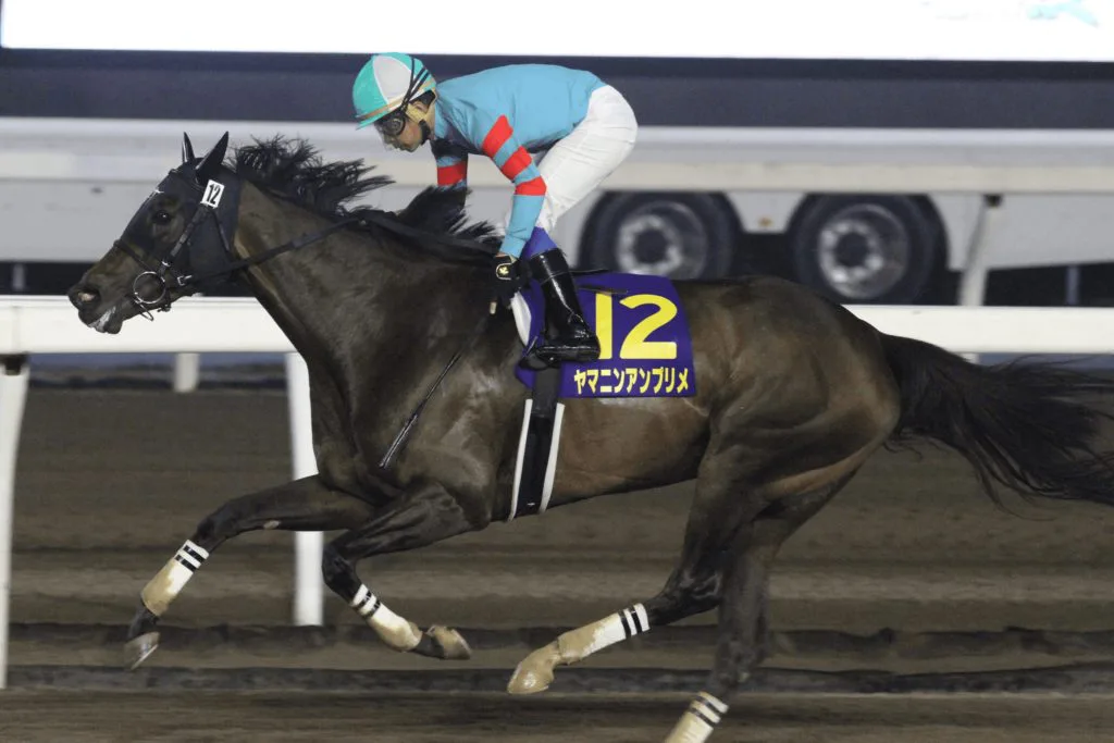 【JBCレディスクラシック予想2019】今年もJRA勢有力か?中でも注目はこの馬!