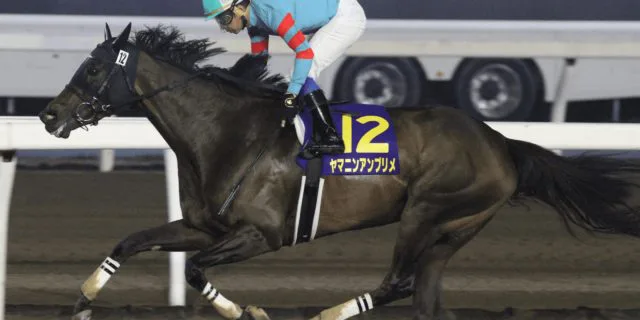 【JBCレディスクラシック予想2019】今年もJRA勢有力か?中でも注目はこの馬!