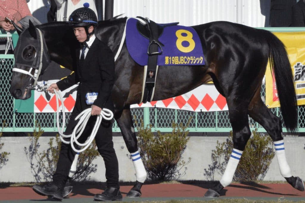 【ドバイワールドカップ予想2021】強力布陣のアメリカ勢へチュウワウィザードが挑む