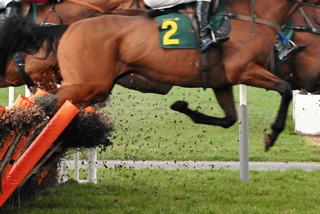 【小倉サマージャンプ予想2024】真夏の障害重賞!ホッコーメヴィウスやヴィジュネルなど出走予定馬を考察