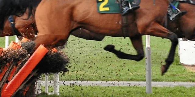 【小倉サマージャンプ2021予想】コウキチョウサン、偉大すぎる兄との初対決を目指して