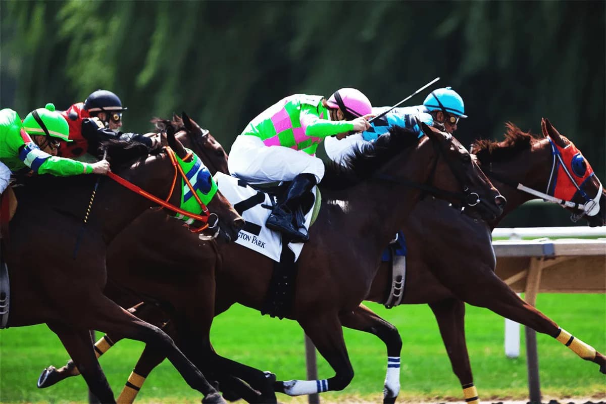 【阪急杯2025予想】オール連対中の素質馬フォーチュンタイム、絶好条件で重賞初Vを目指す