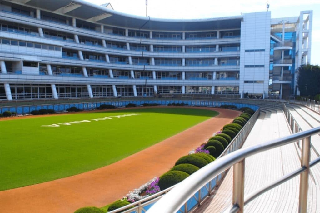 【セントライト記念2024】菊花賞への切符をかけた一戦!コスモキュランダやヤマニンアドホックなど出走予定馬を考察