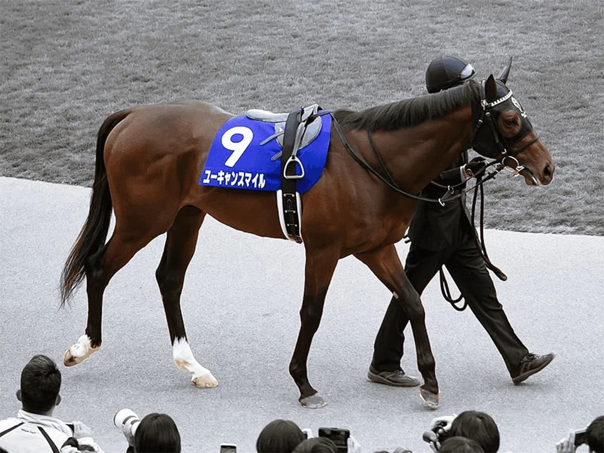 【ジャパンカップ予想2019】ユーキャンスマイル、天皇賞秋は強い4着。ここは勝ち負け