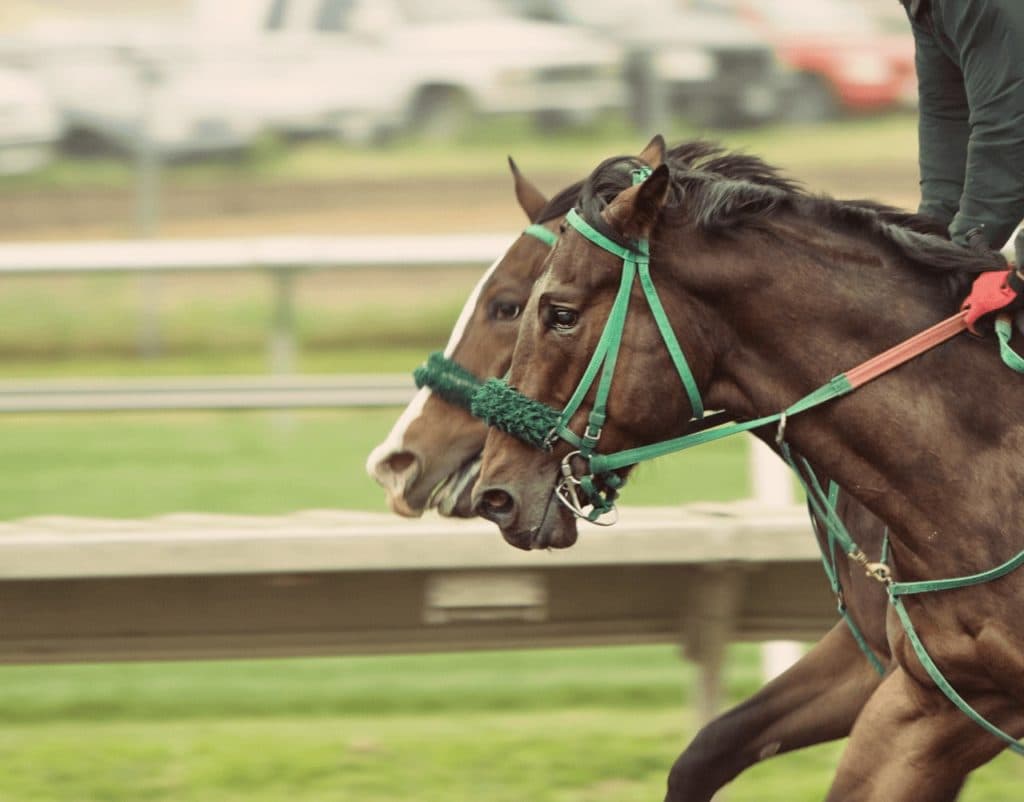 【オルフェーヴルC予想2024】先々まで楽しみな良血馬2頭に注目!