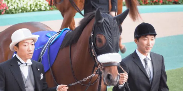 【JRA】アーモンドアイが2023年度顕彰馬に選定、コントレイルはわずか1票届かず