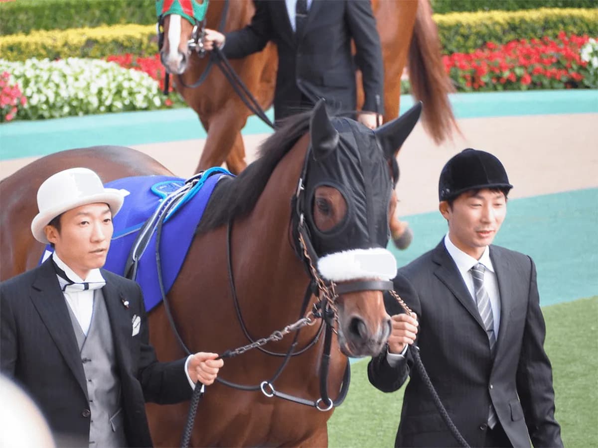 アーモンドアイ、ルメール騎手で有馬記念参戦が正式に決定。フィエールマンは池添騎手と初コンビ
